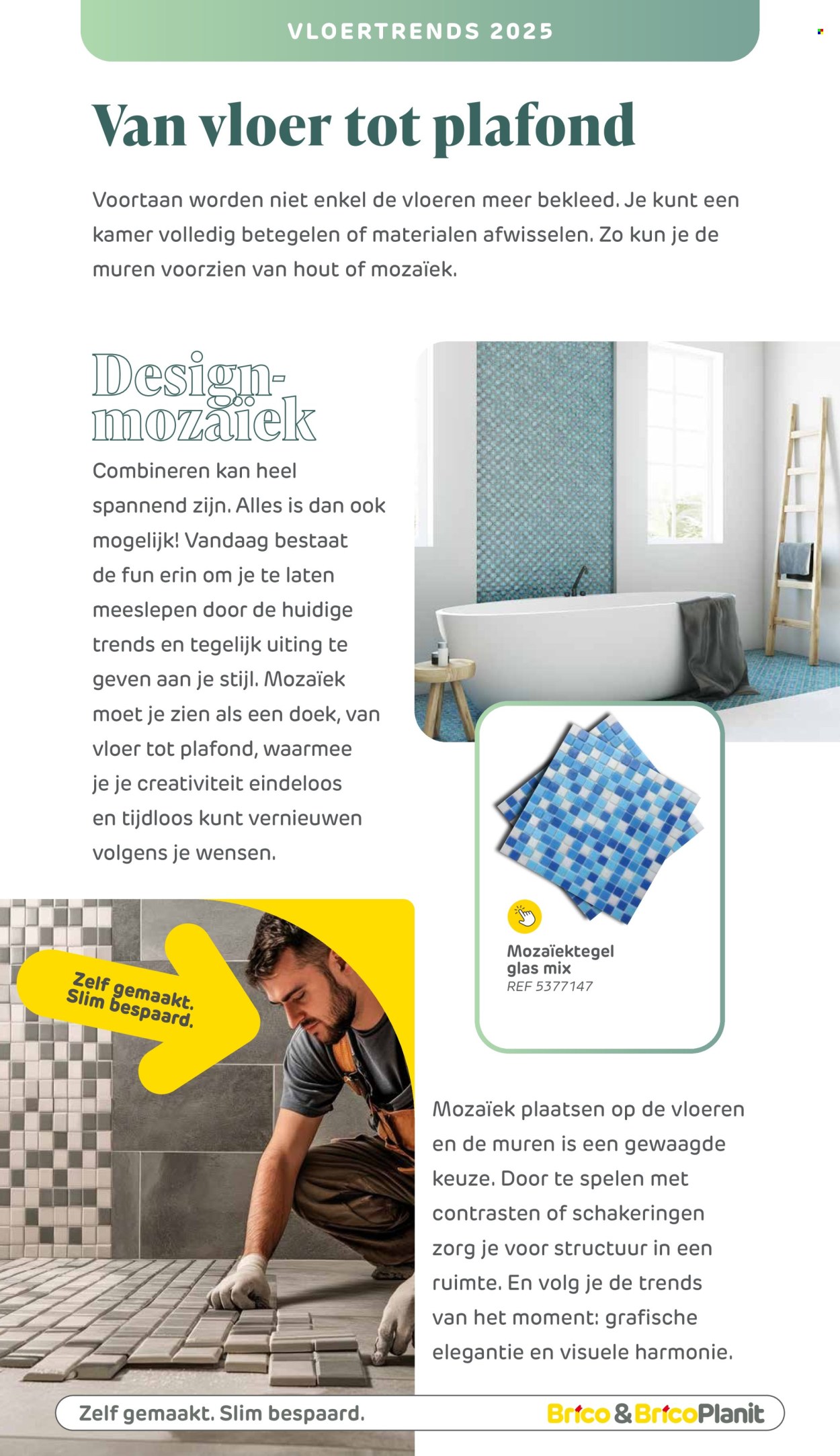 Brico-aanbieding . Pagina 12.
