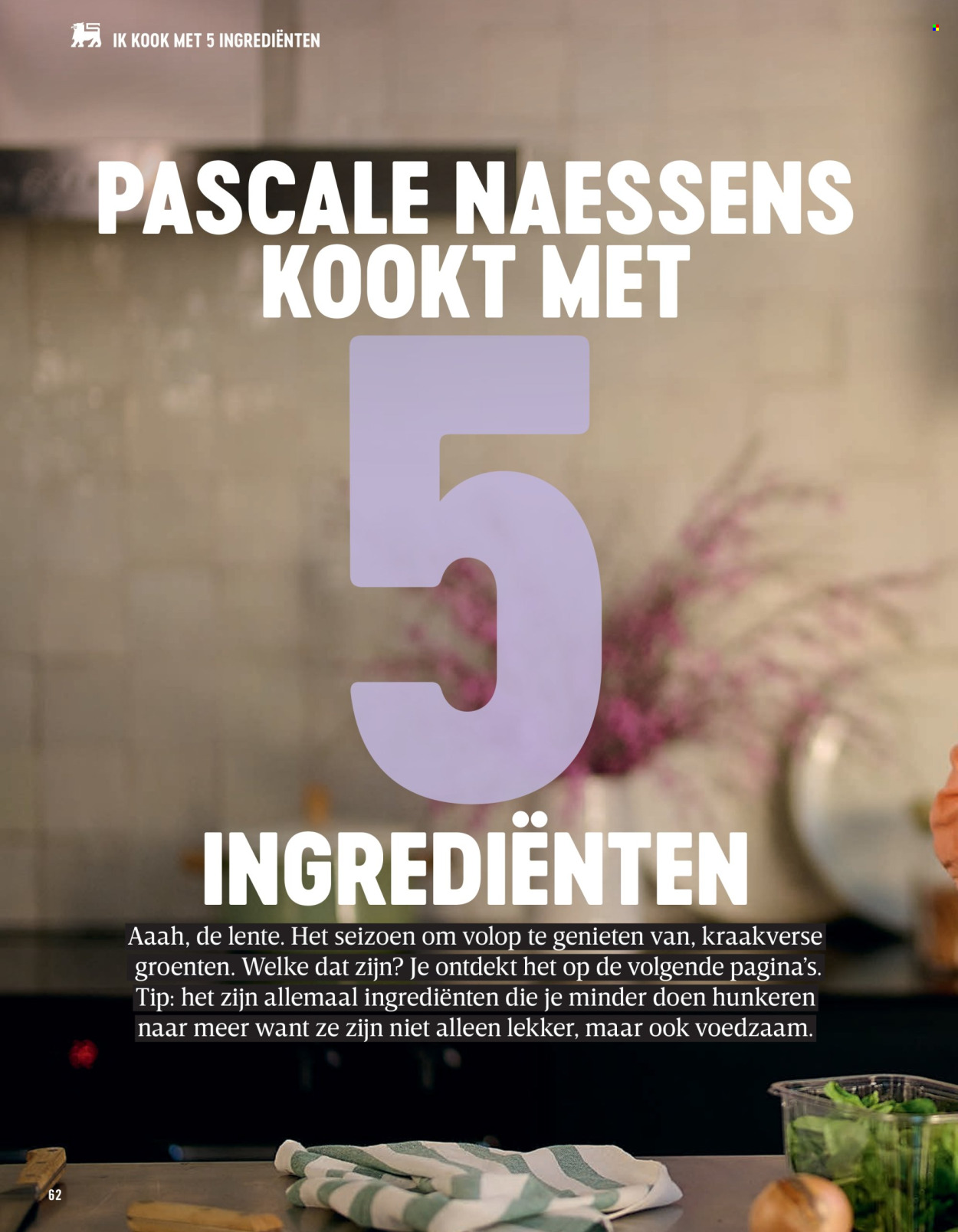 Delhaize-aanbieding . Pagina 62.