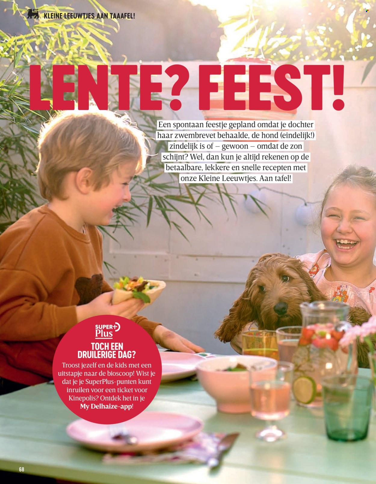 Delhaize-aanbieding . Pagina 68.