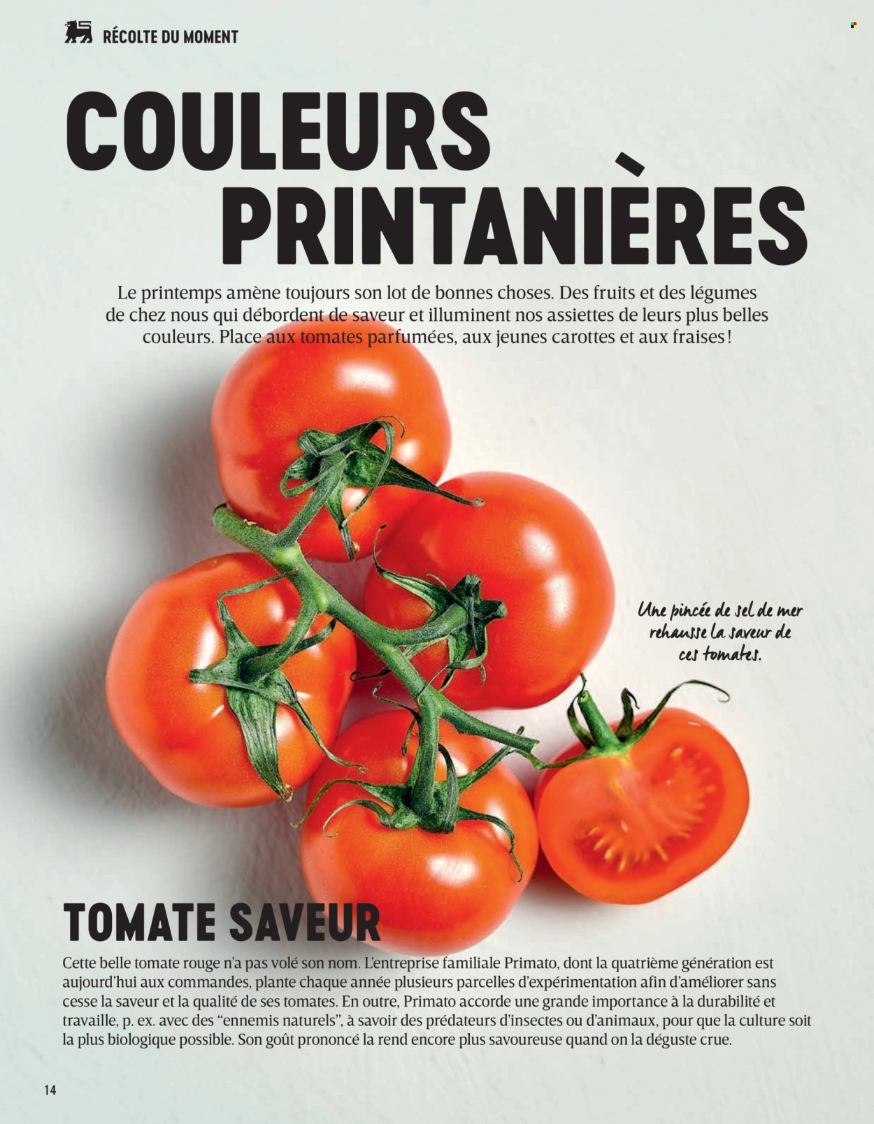 Delhaize-aanbieding . Pagina 14.