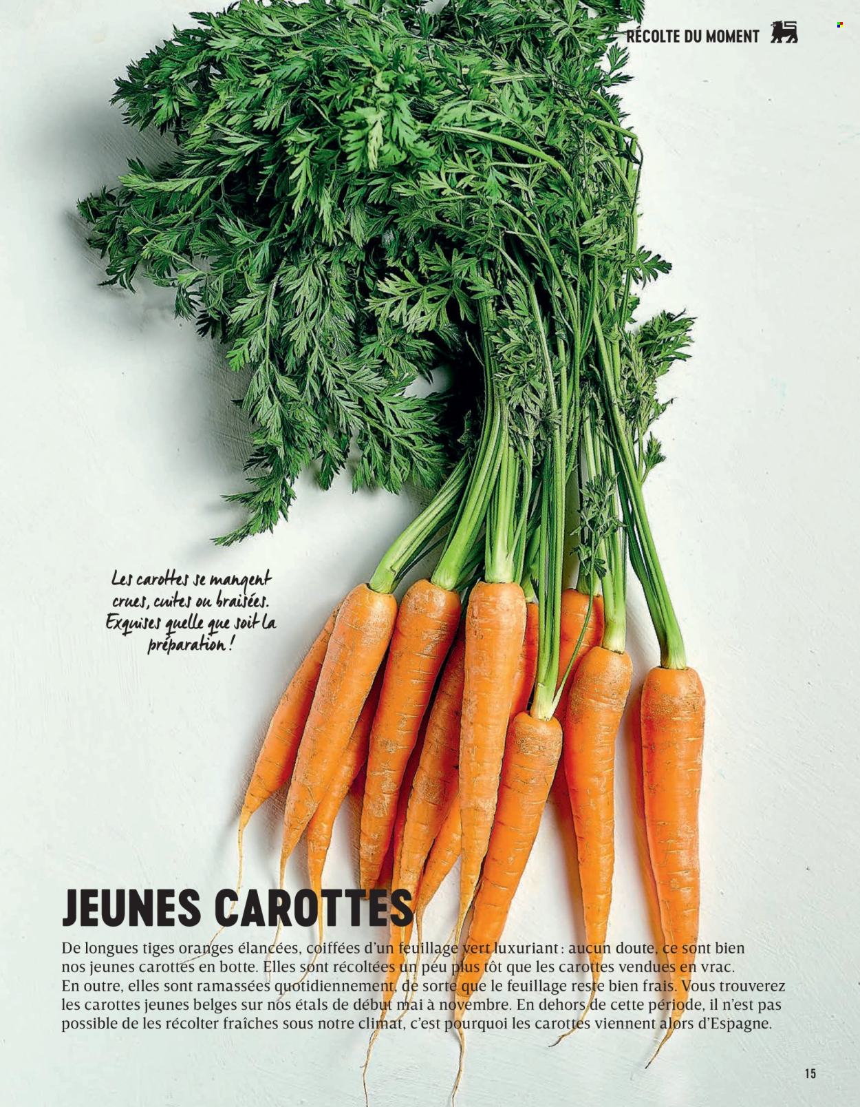 Delhaize-aanbieding . Pagina 15.