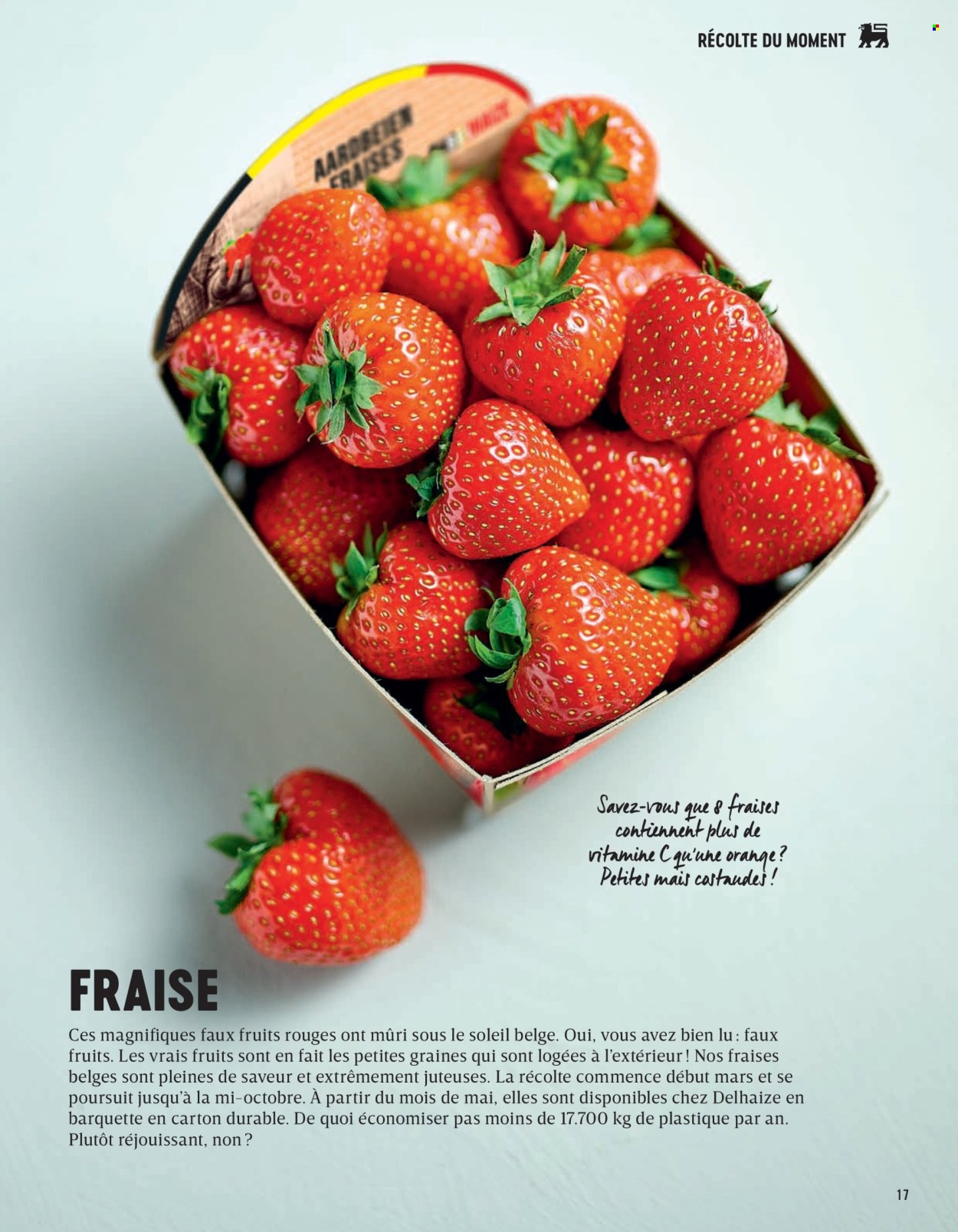 Delhaize-aanbieding . Pagina 17.