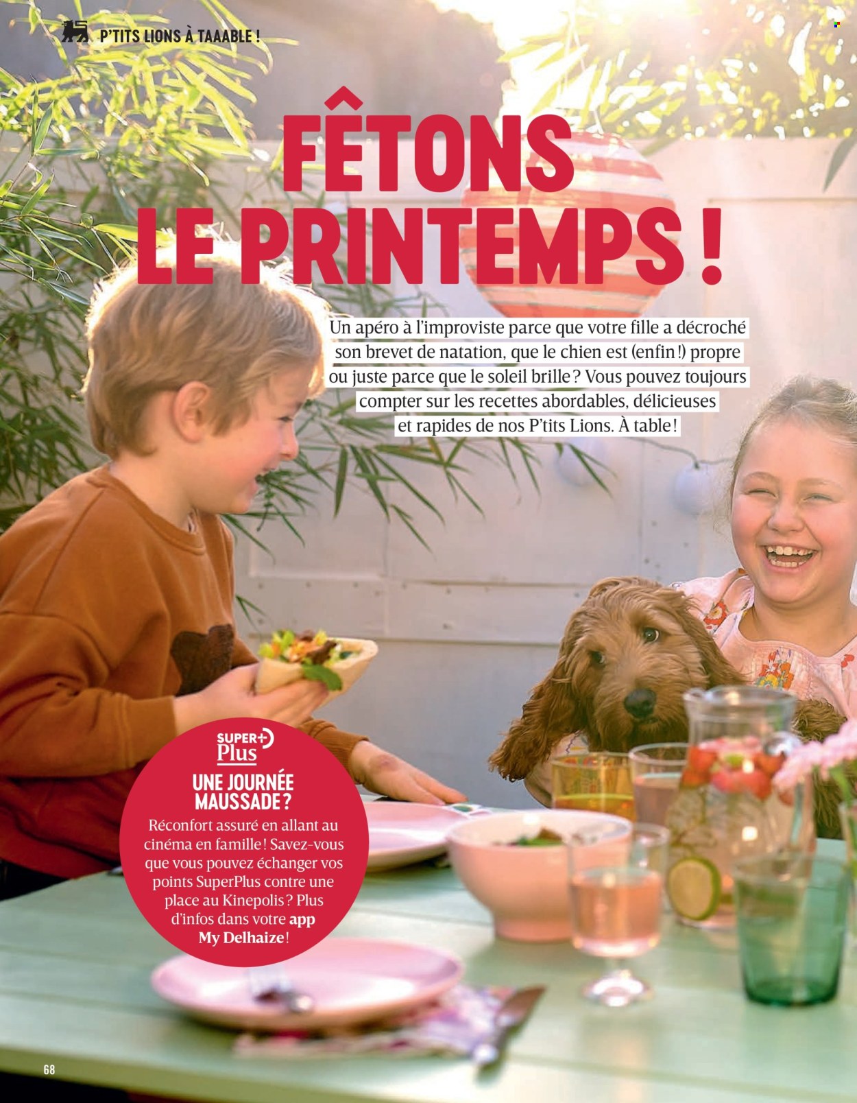 Delhaize-aanbieding . Pagina 68.