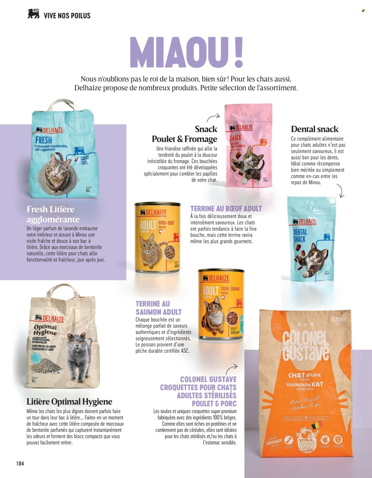 Delhaize-aanbieding . Pagina 104.