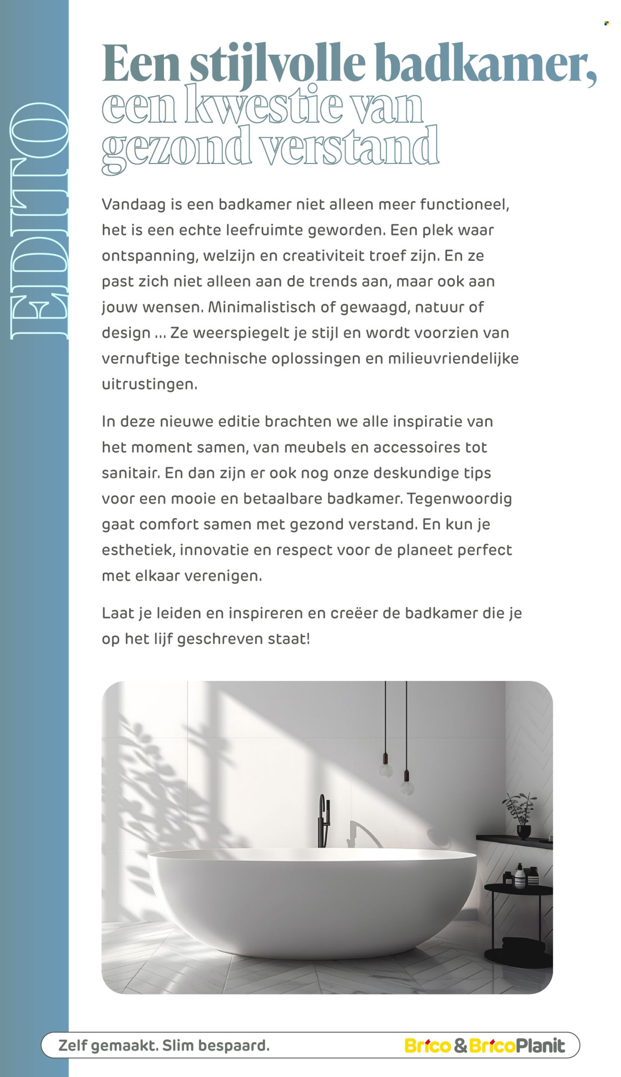 Brico-aanbieding . Pagina 2.