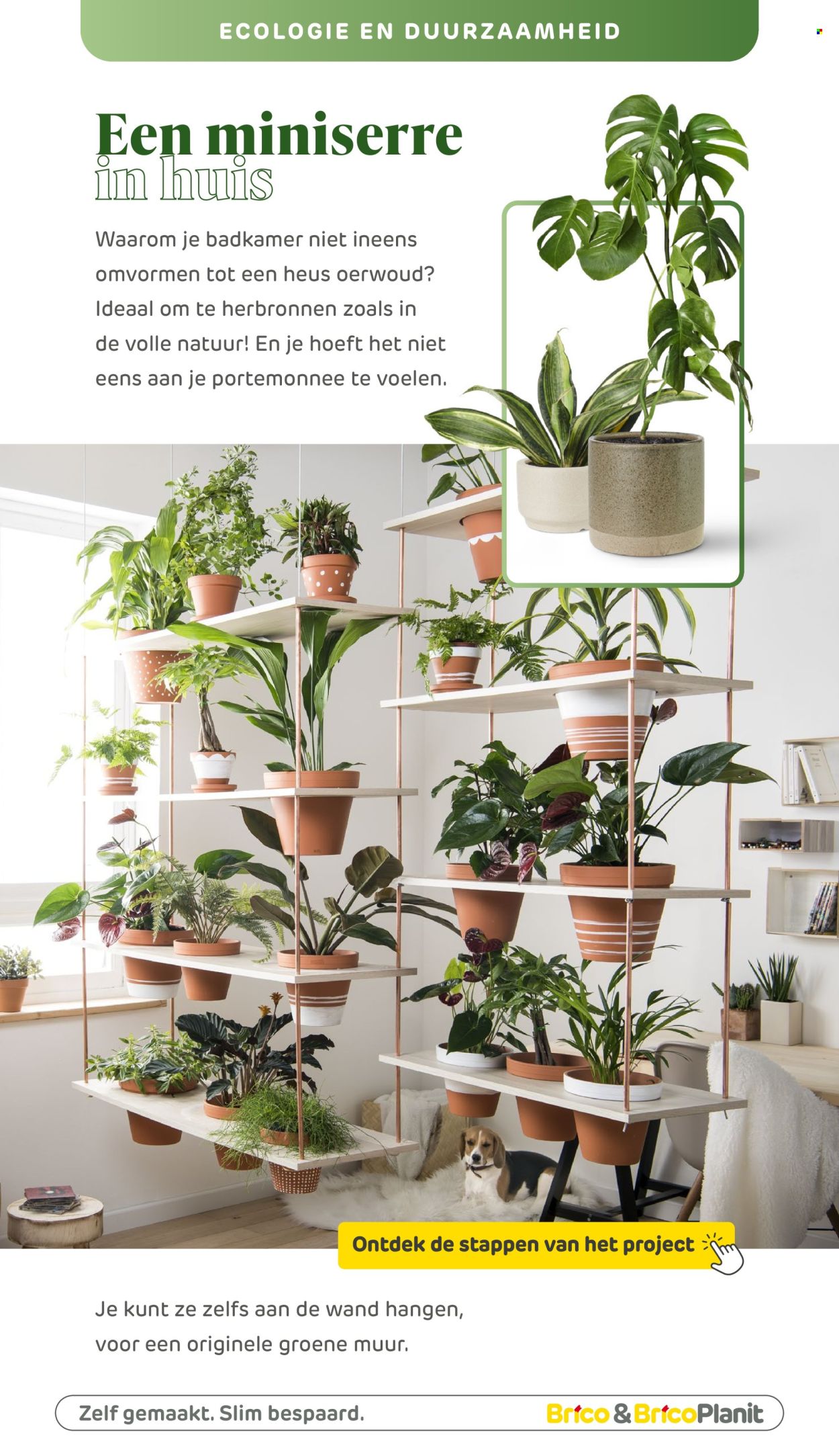 Brico-aanbieding . Pagina 105.