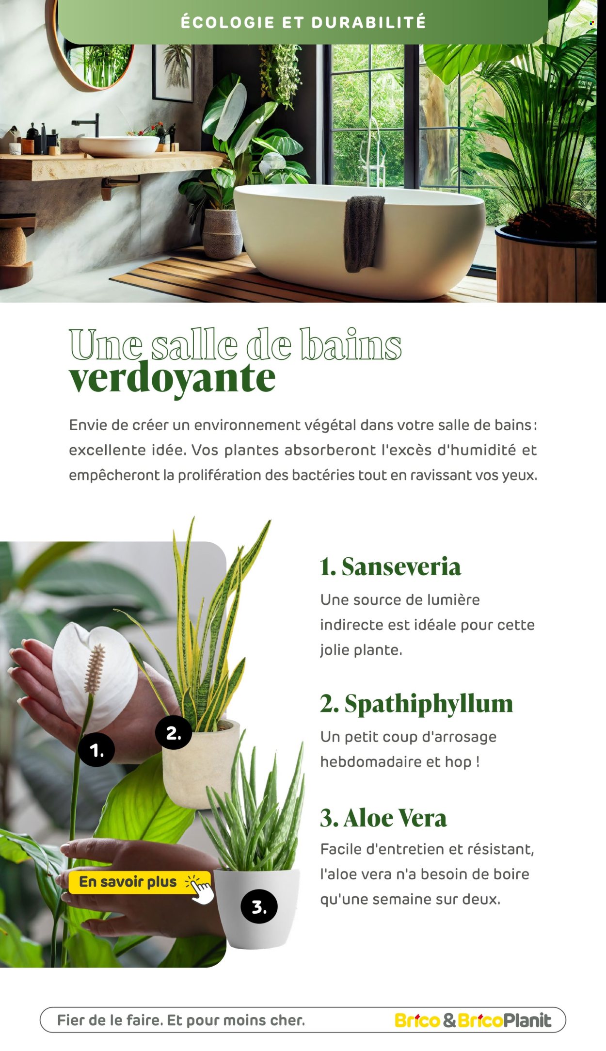 Brico-aanbieding . Pagina 104.
