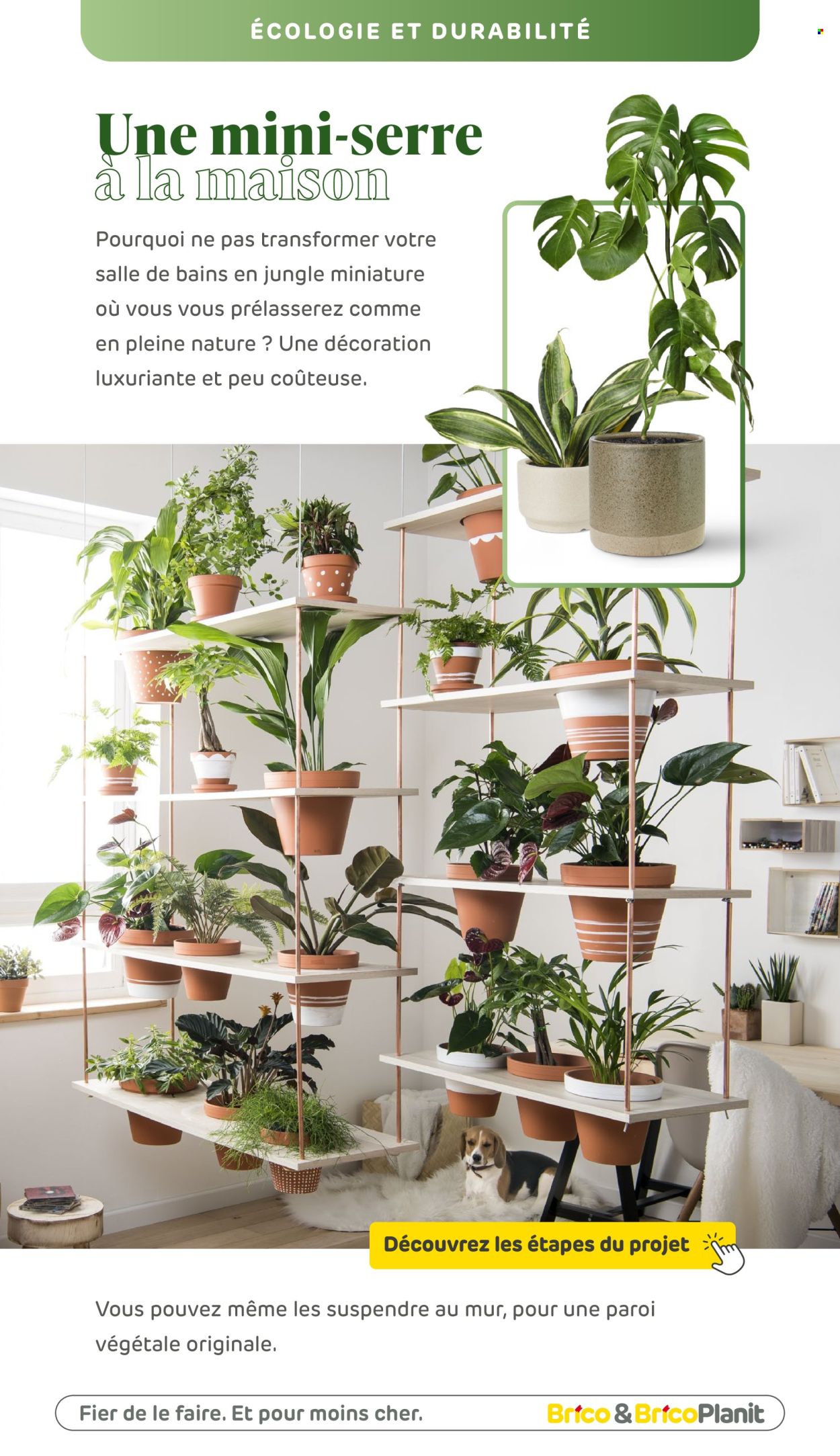 Brico-aanbieding . Pagina 105.