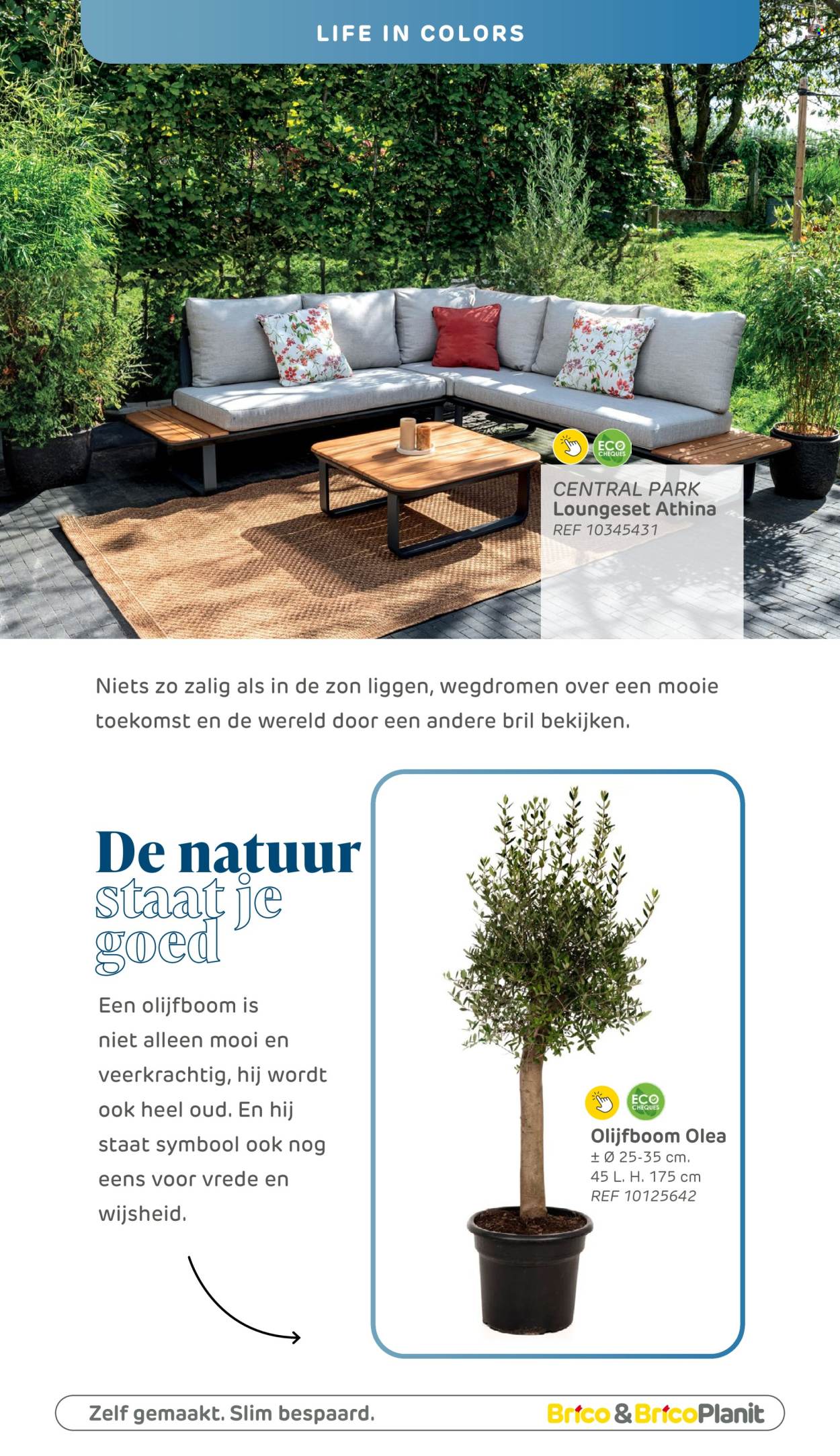 Brico-aanbieding . Pagina 8.