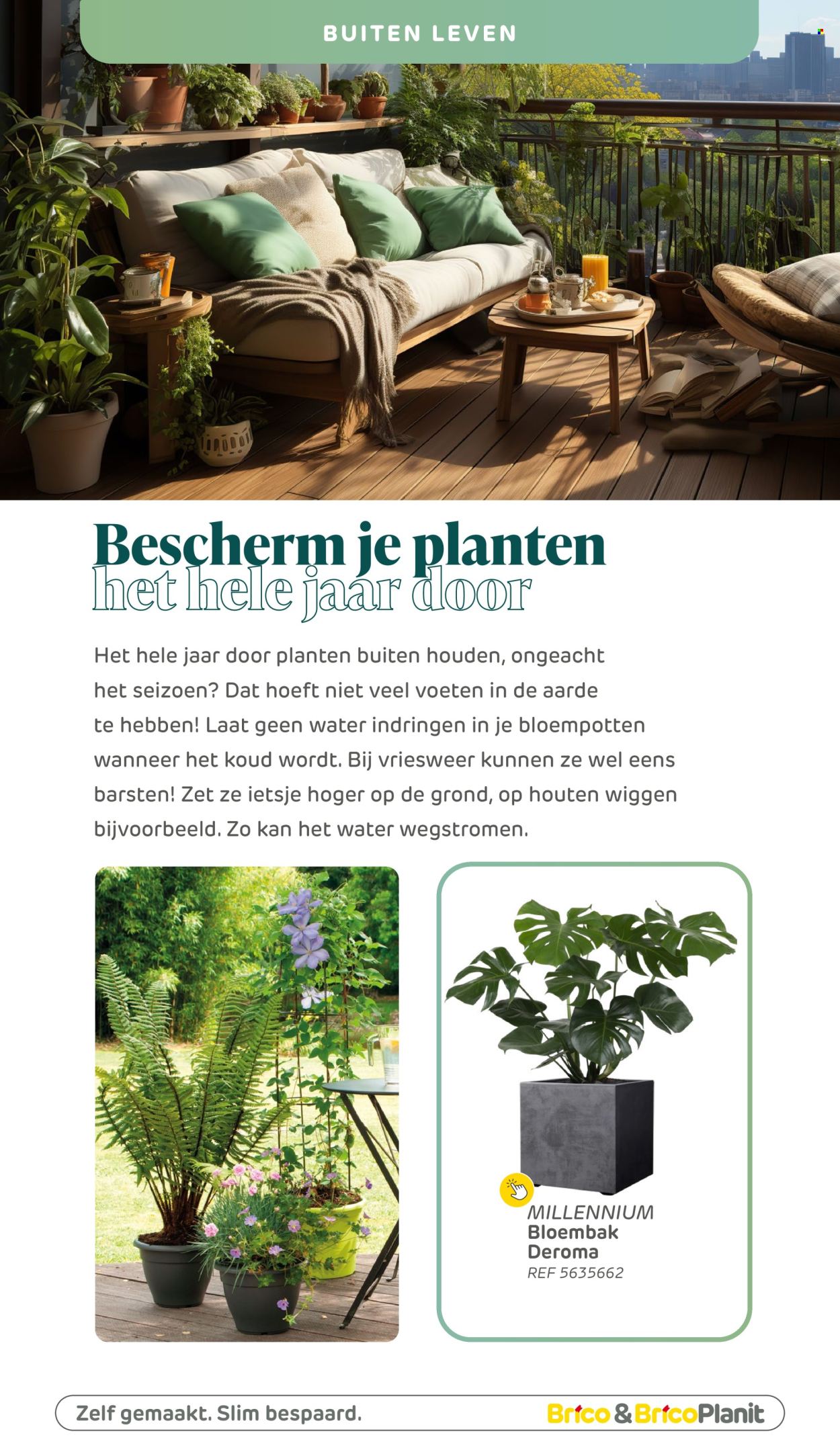 Brico-aanbieding . Pagina 60.