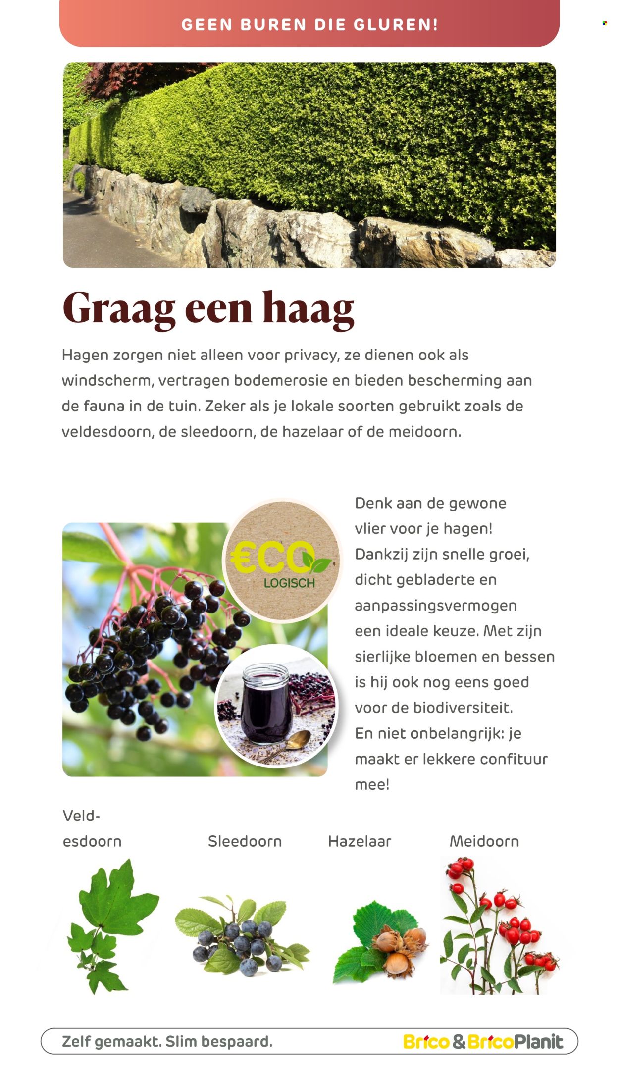 Brico-aanbieding . Pagina 100.