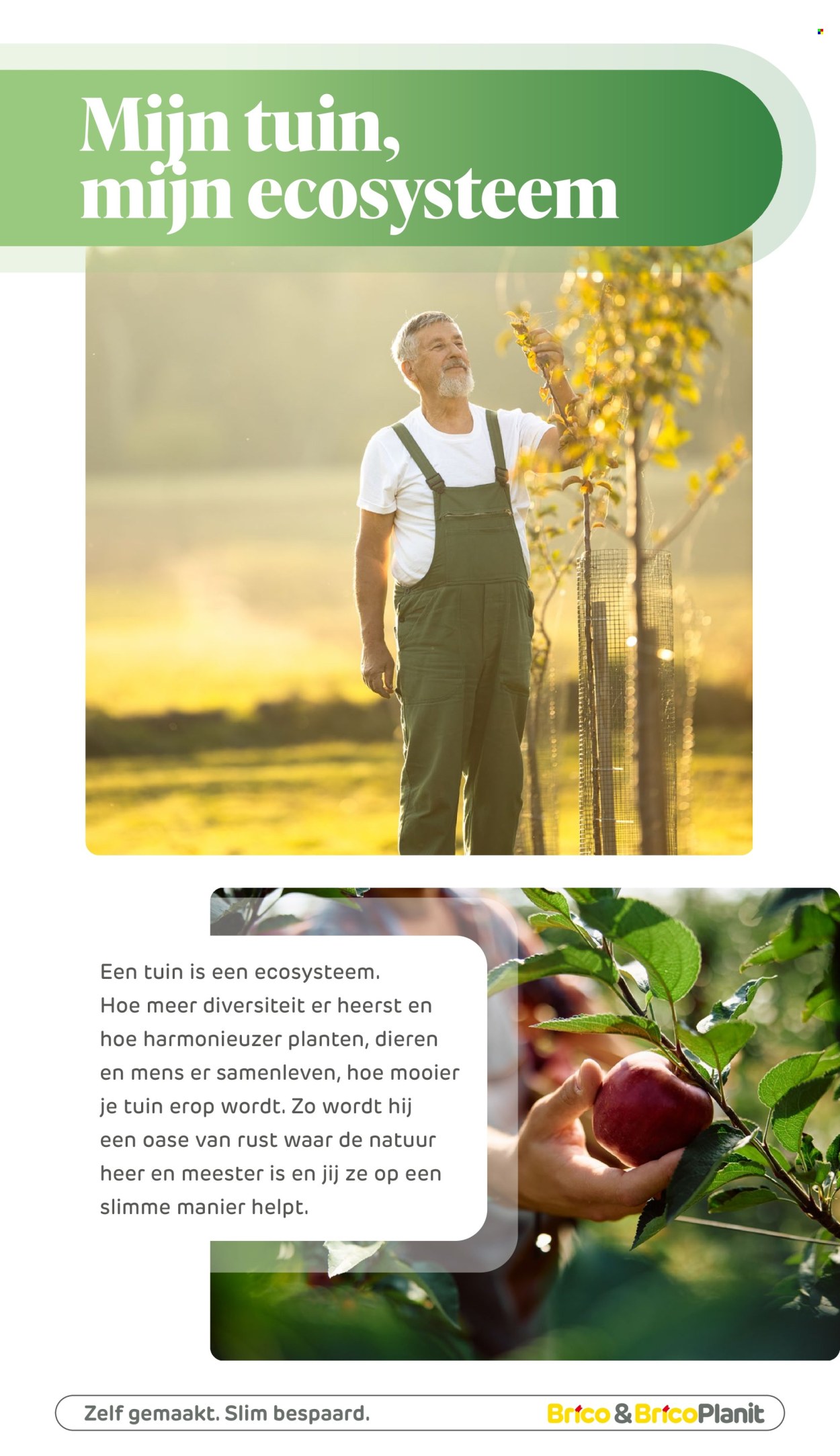 Brico-aanbieding . Pagina 153.