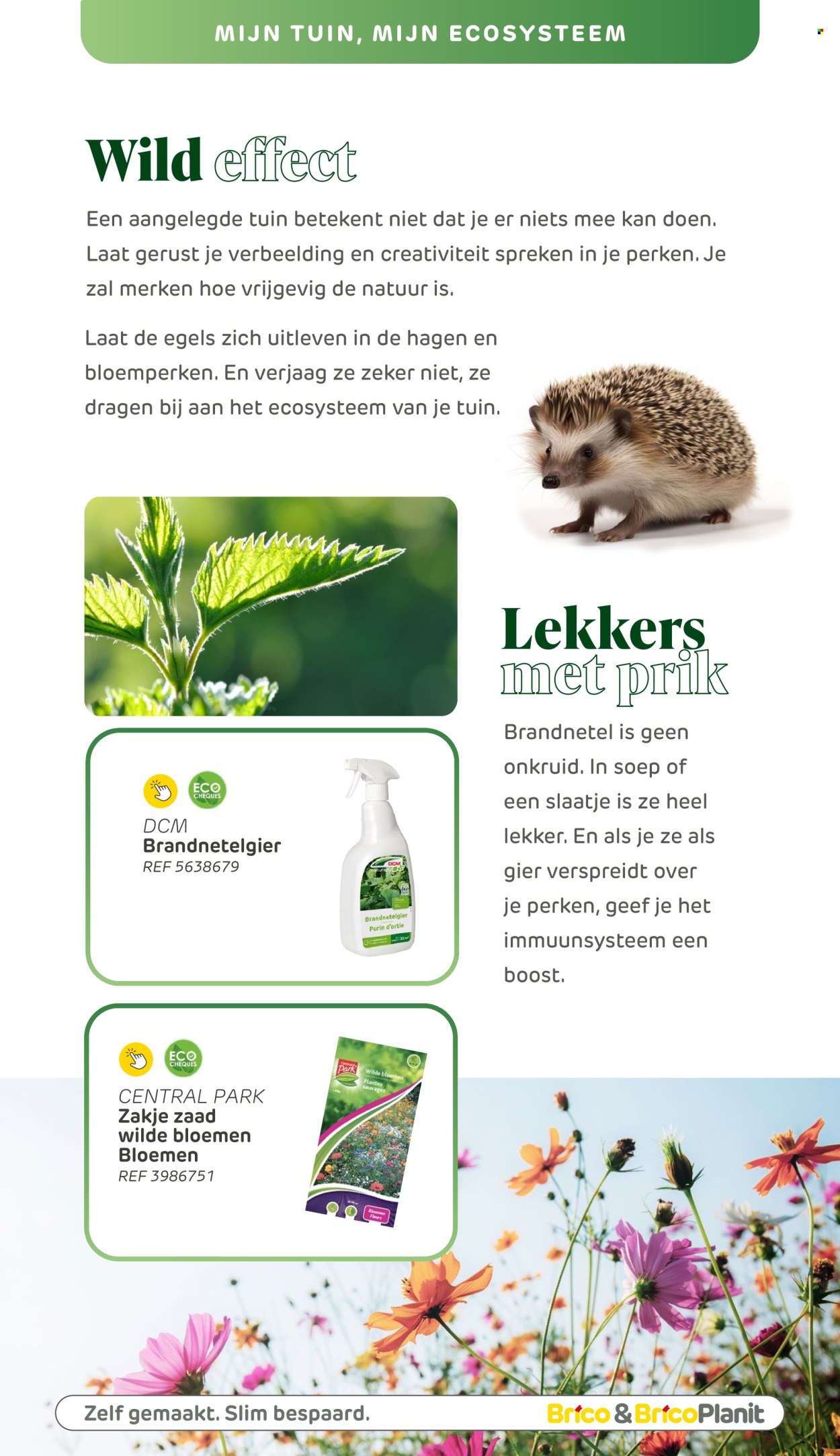 Brico-aanbieding . Pagina 155.
