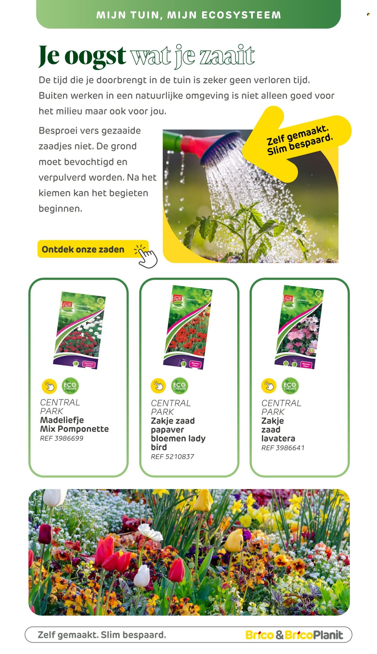 Brico-aanbieding . Pagina 156.