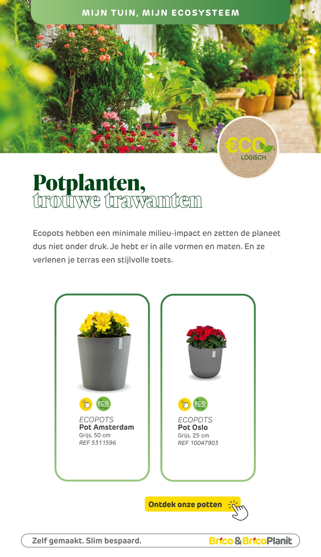 Brico-aanbieding . Pagina 158.