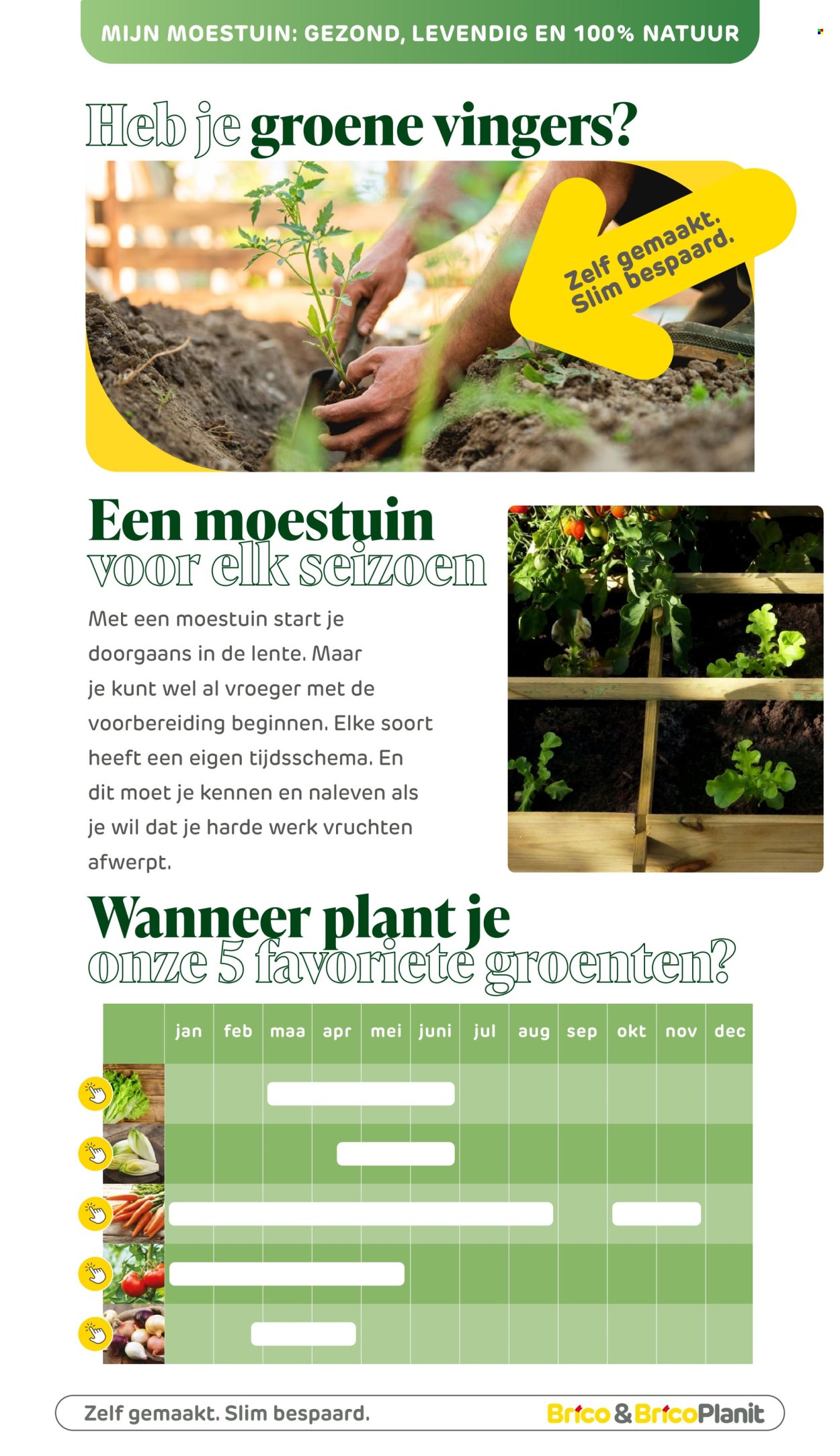 Brico-aanbieding . Pagina 174.