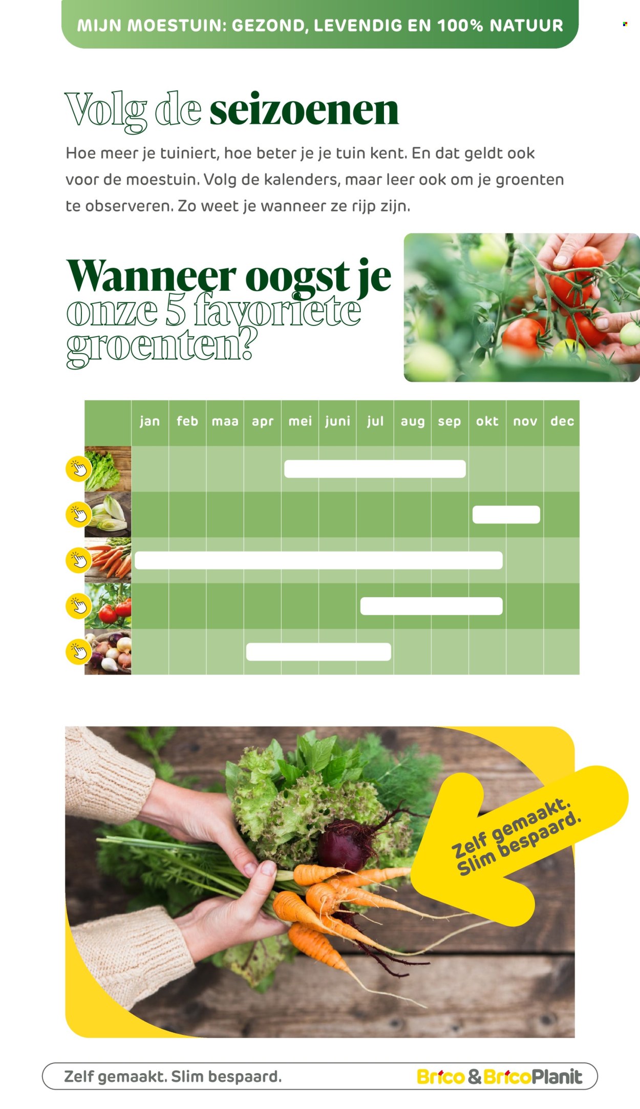 Brico-aanbieding . Pagina 176.