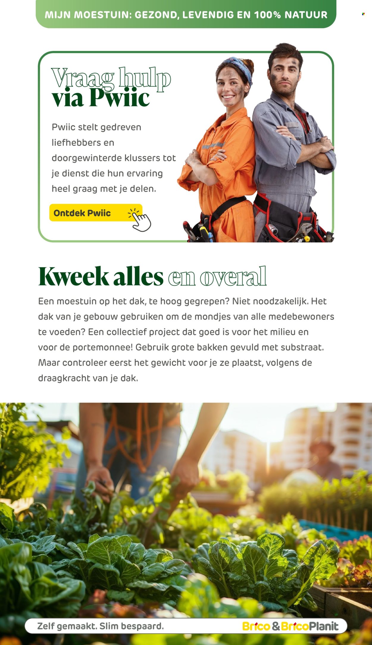 Brico-aanbieding . Pagina 177.
