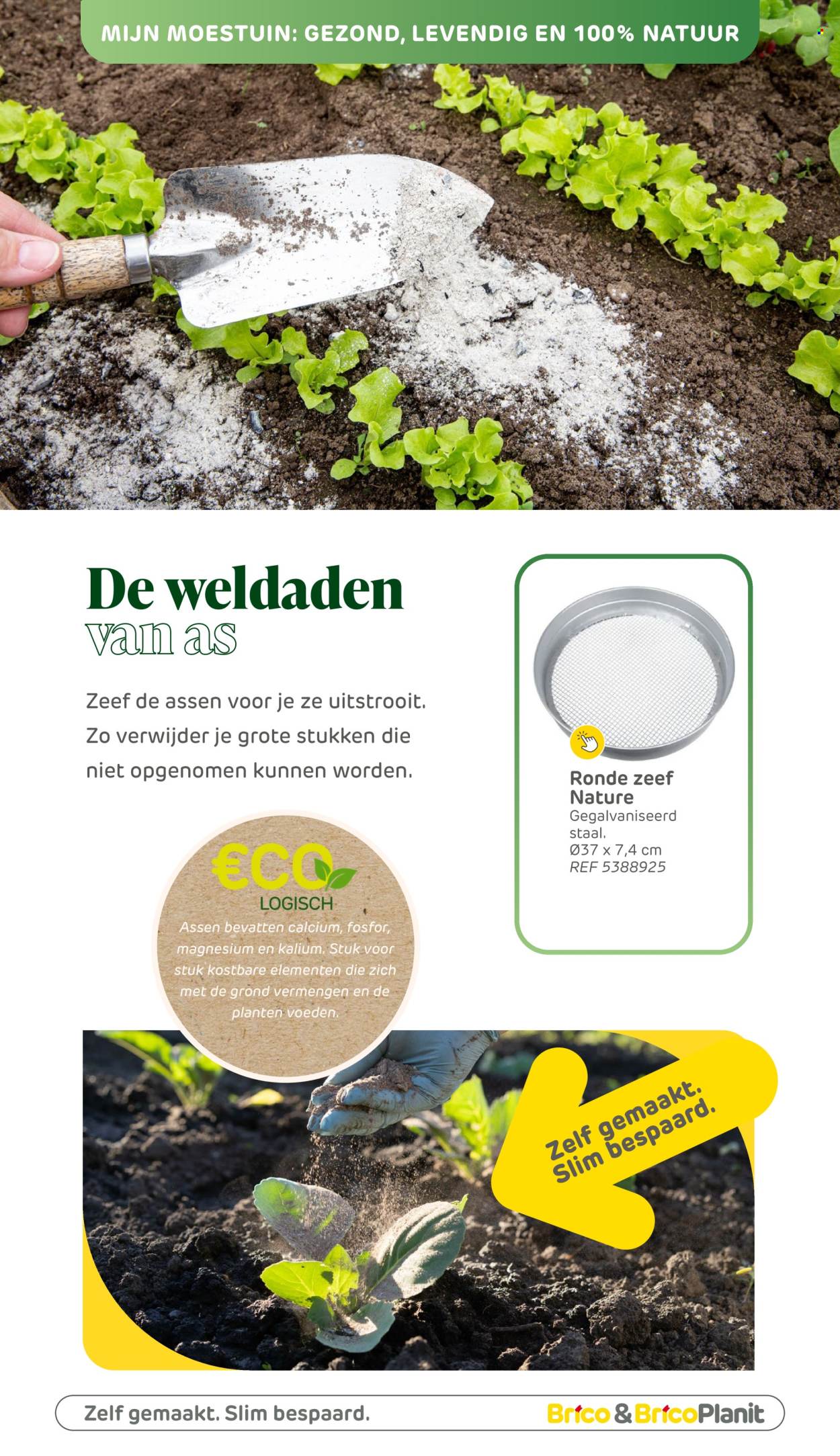 Brico-aanbieding . Pagina 185.