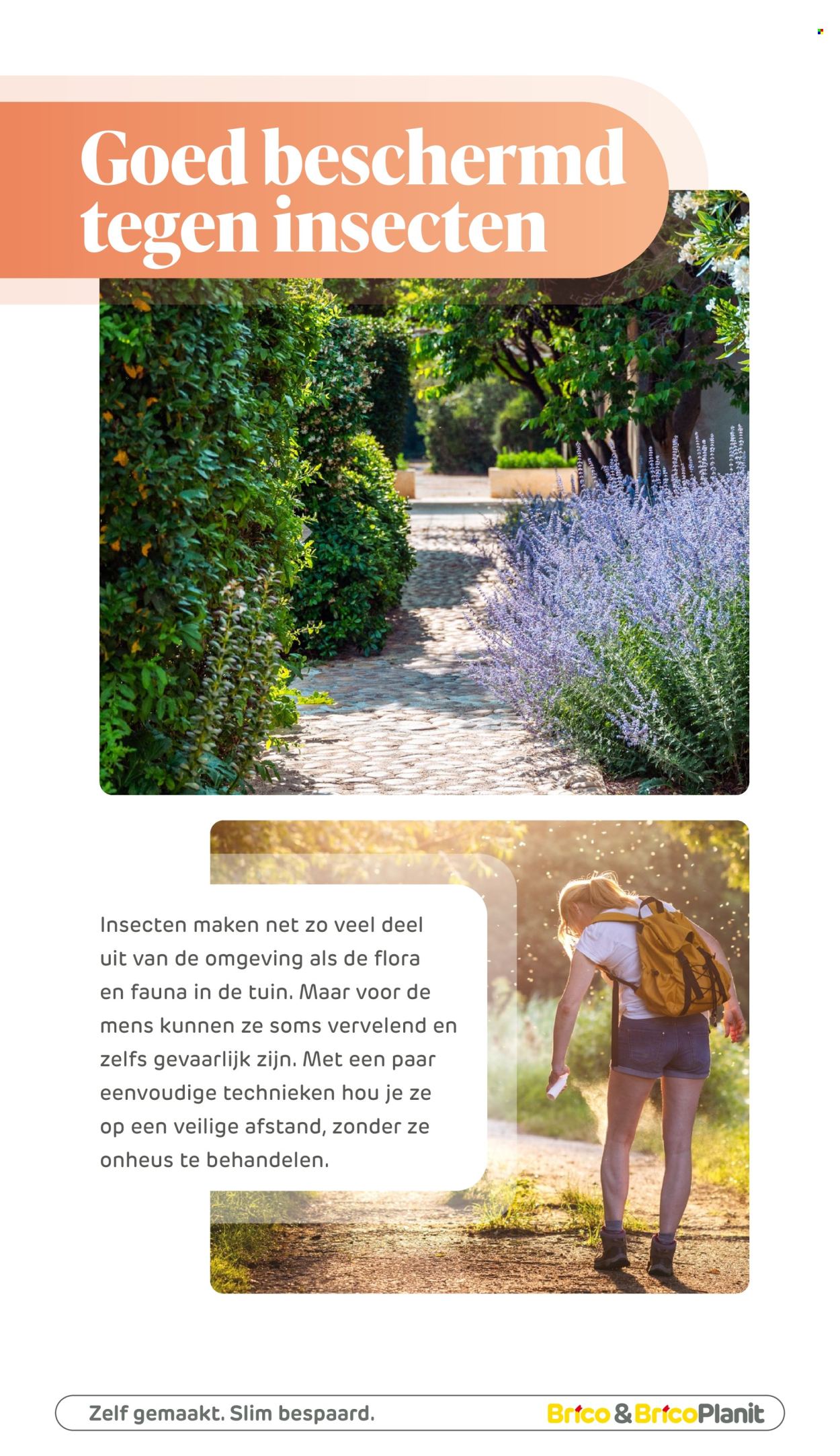 Brico-aanbieding . Pagina 259.