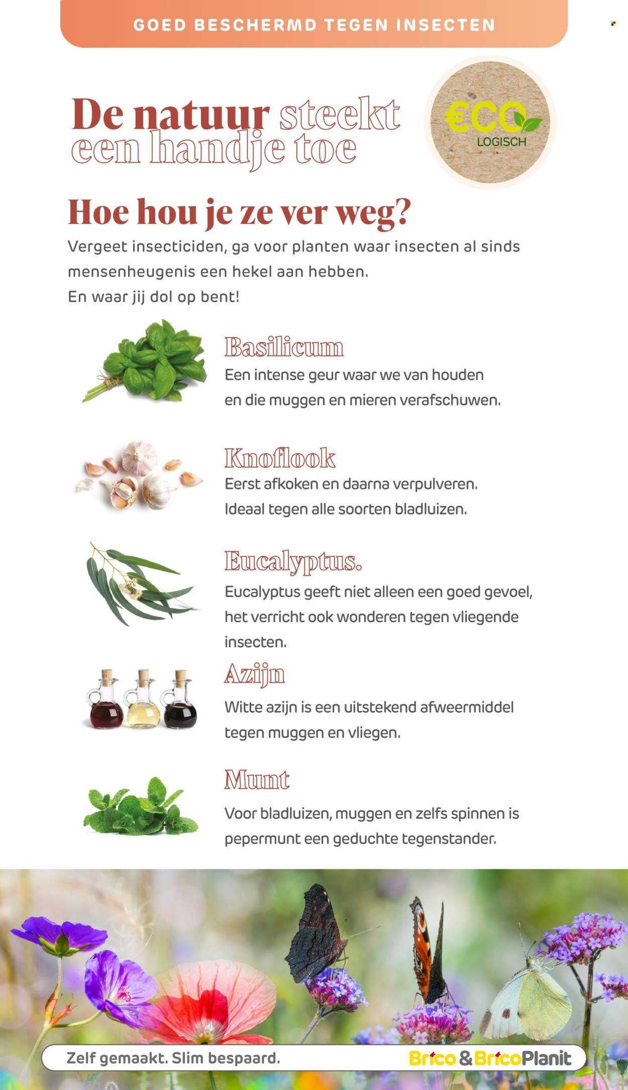 Brico-aanbieding . Pagina 263.