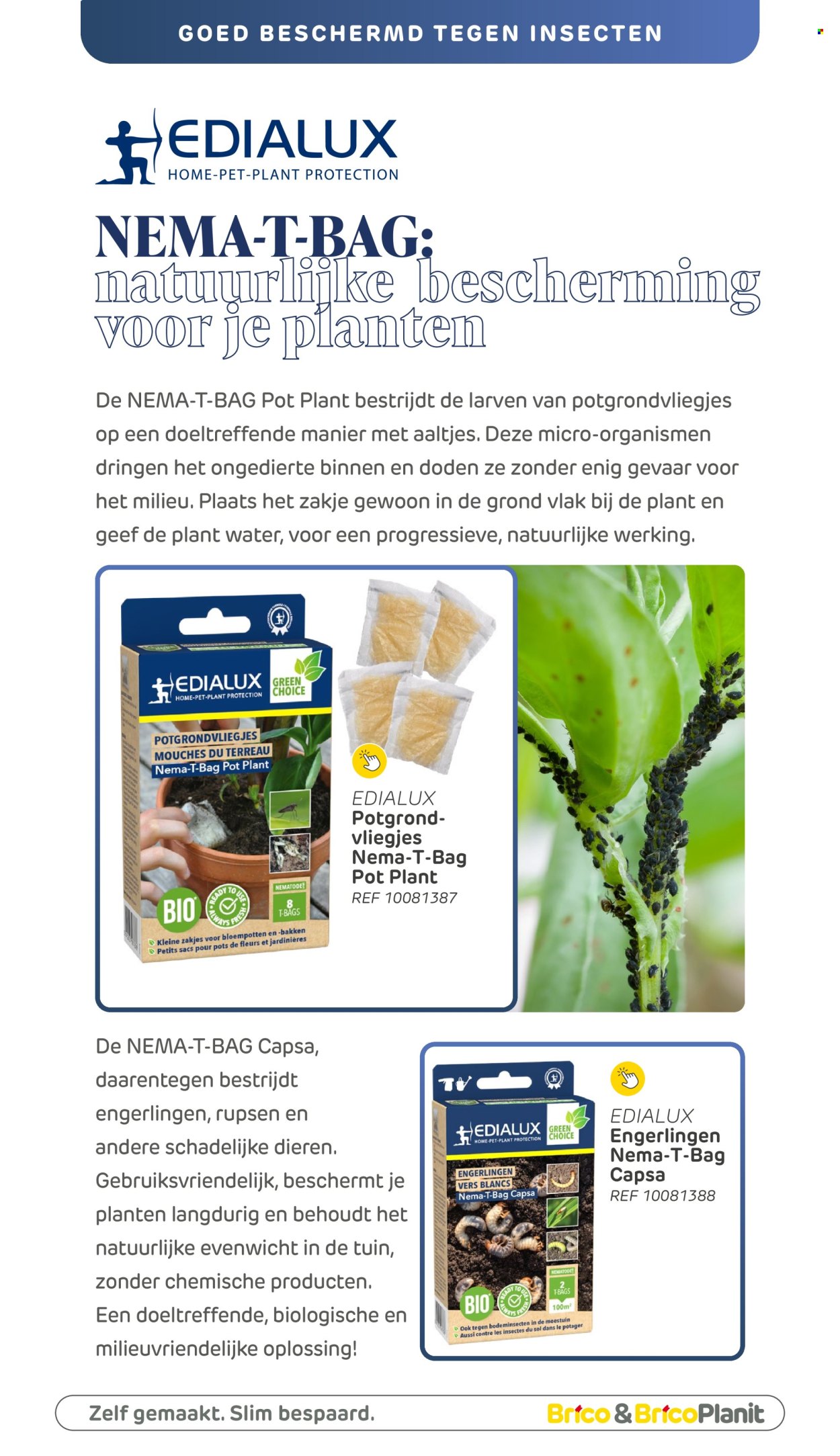 Brico-aanbieding . Pagina 264.