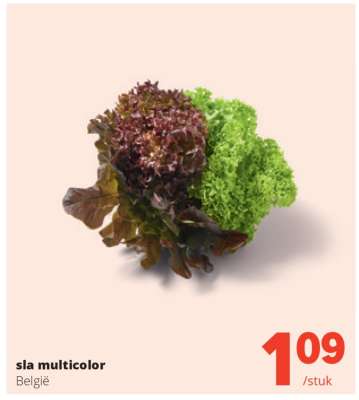 sla multicolor