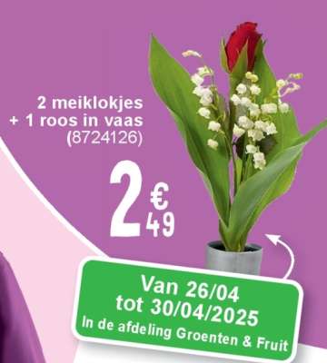 2 meiklokjes + 1 roos in vaas