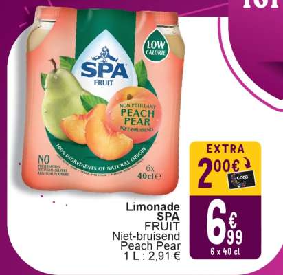Limonade SPA FRUIT