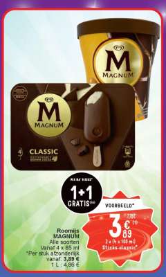 Roomijs MAGNUM