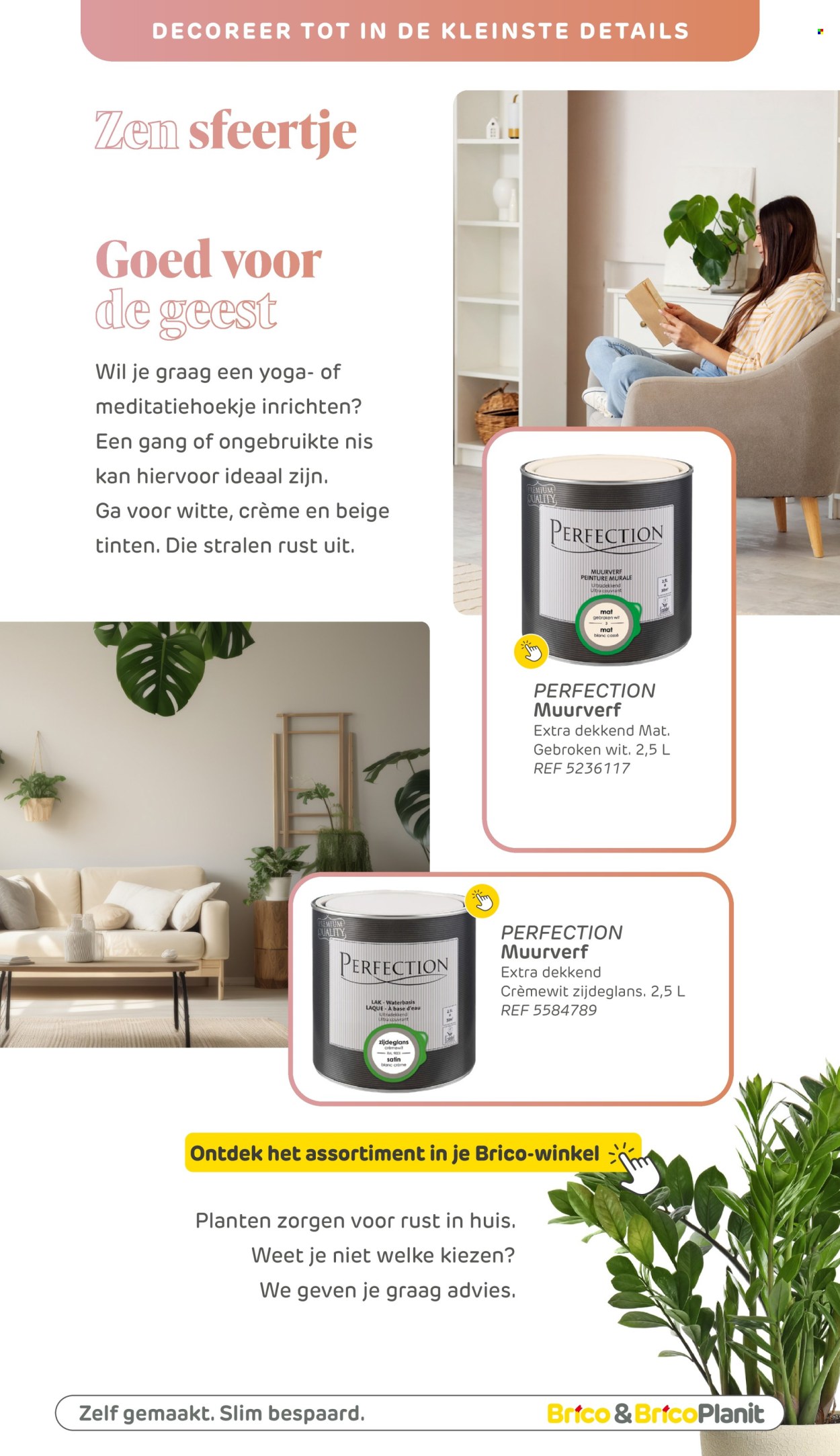 Brico-aanbieding . Pagina 81.