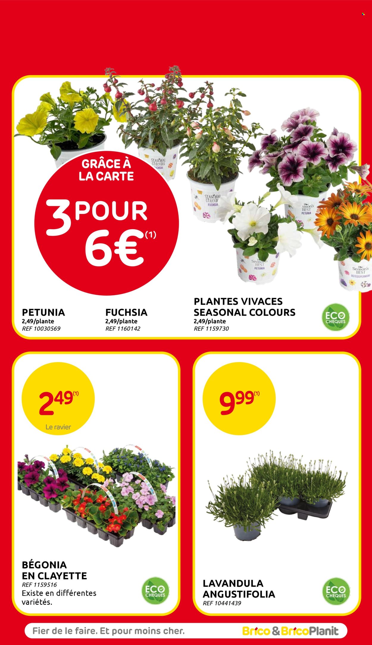 Brico-aanbieding  - 14.5.2025 - 26.5.2025. Pagina 69.