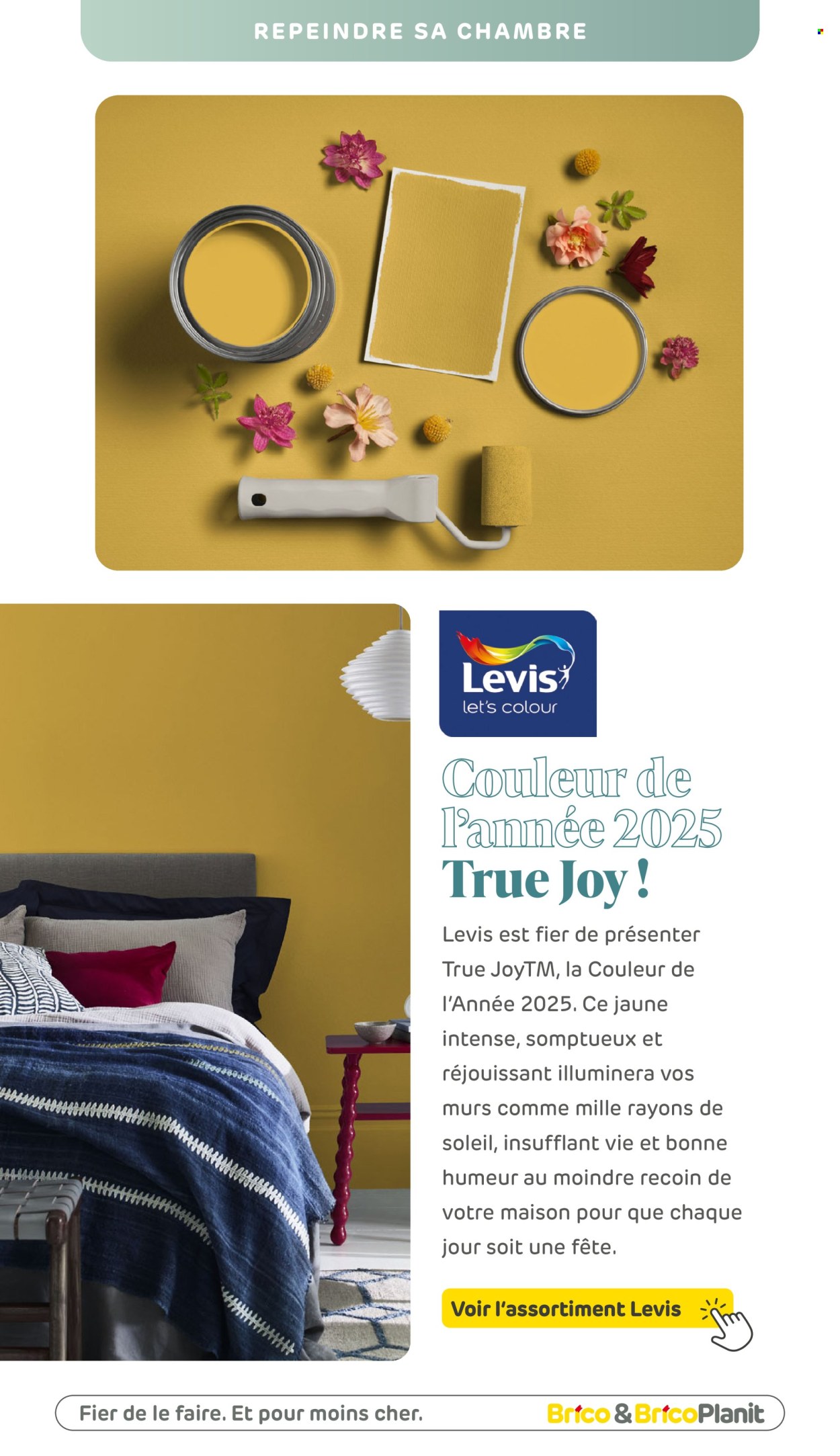 Brico-aanbieding . Pagina 53.
