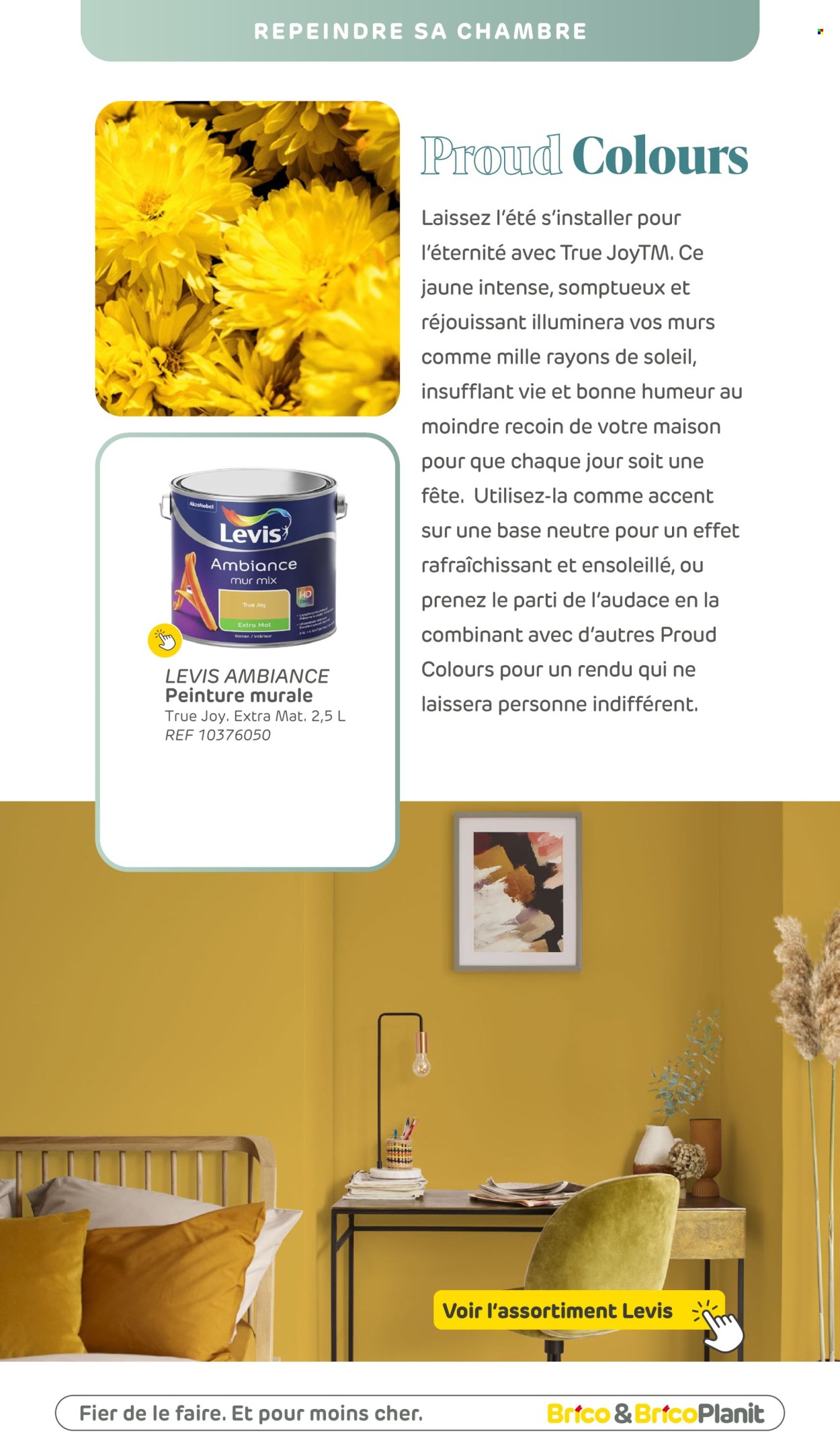 Brico-aanbieding . Pagina 54.