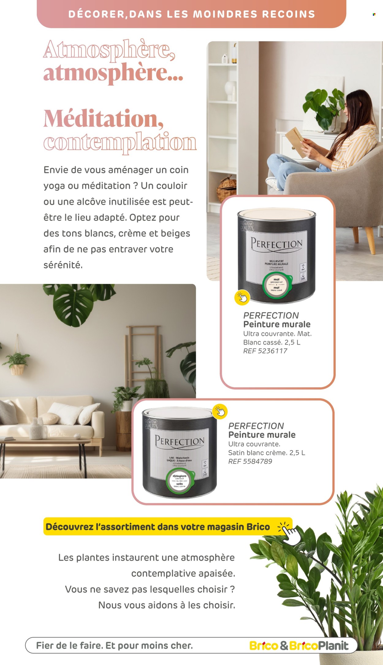 Brico-aanbieding . Pagina 81.